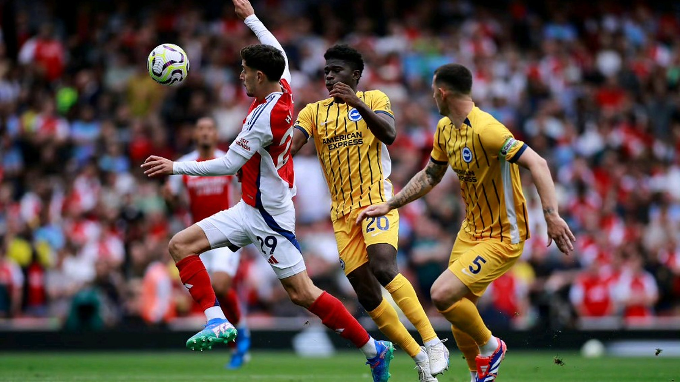 阿森纳客场战平布莱顿,积分保持不变 阿森纳客场战平布莱顿,积分保持不变