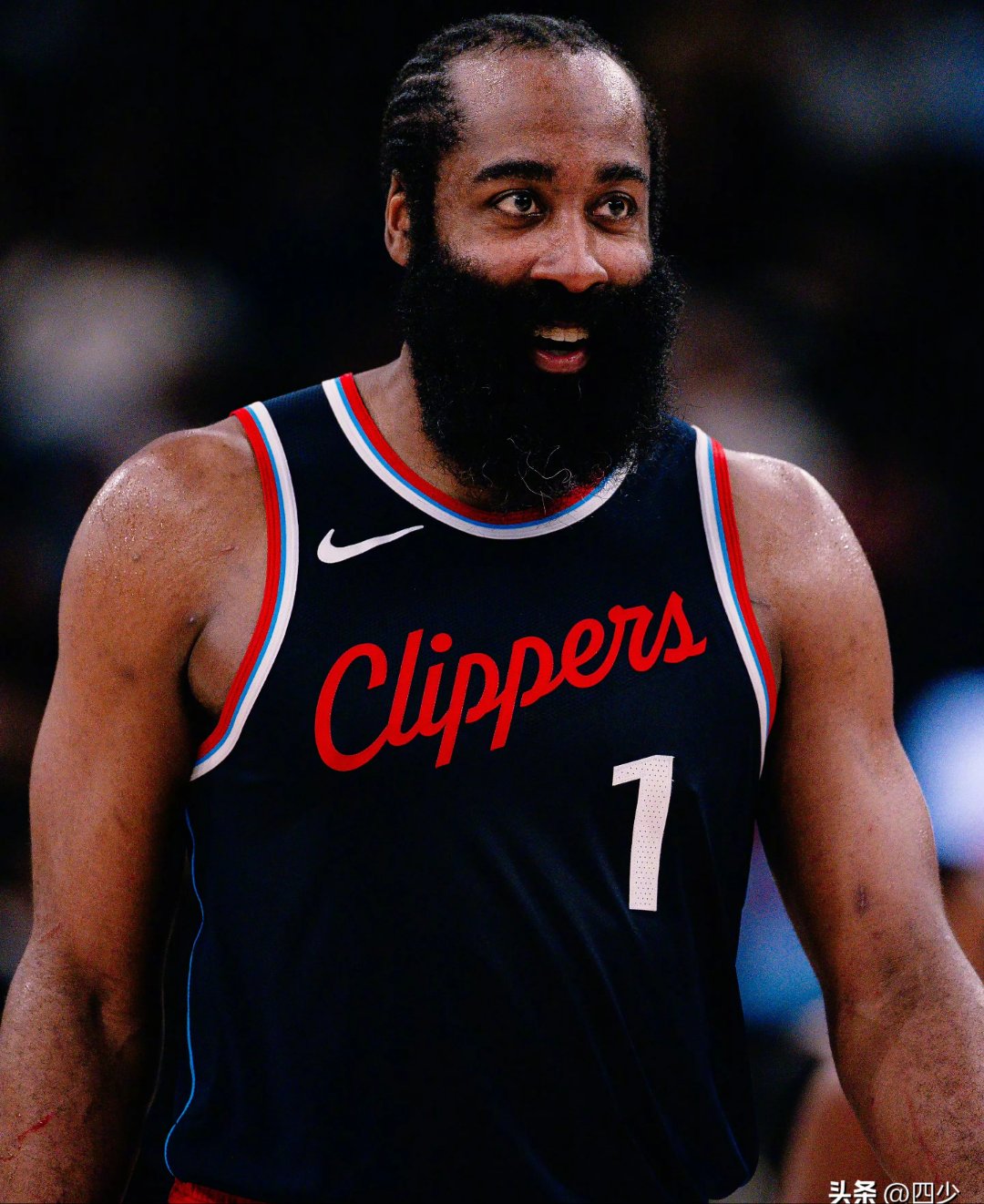 快船战胜尼克斯,继续稳居前列的简单介绍 快船战胜尼克斯,继续稳居前列的简单介绍