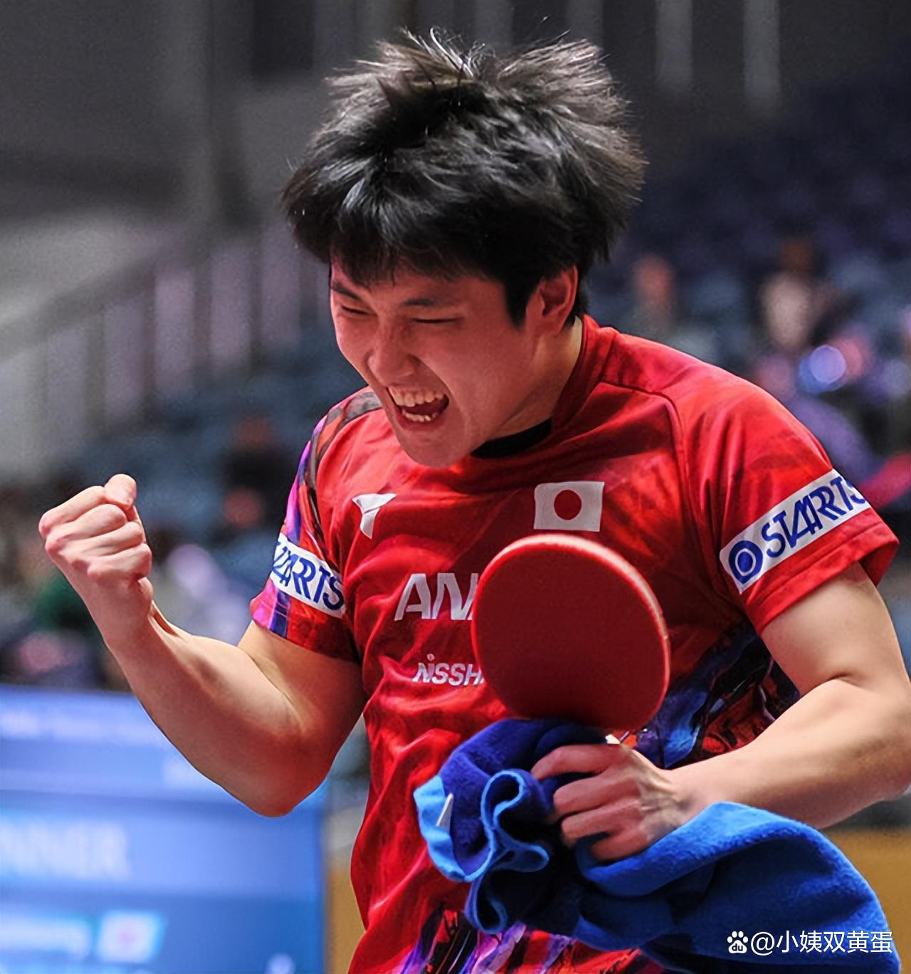 比利时乒乓球队强势德国乒乓球队，张本智和惊艳世界的简单介绍