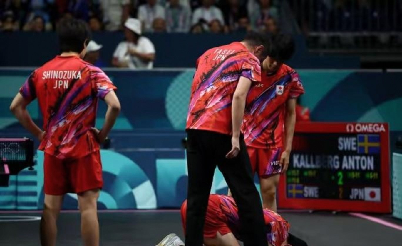 德国队轻取法国队，张本智和统治全场的简单介绍